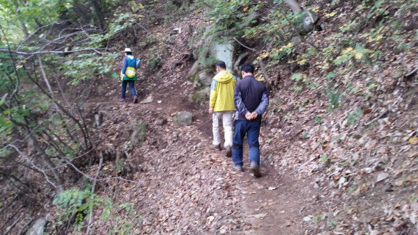20141001_104617.jpg