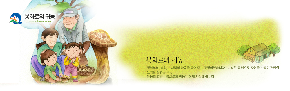 상단 일러스트 입니다.