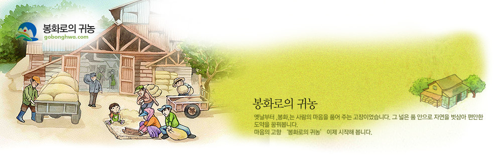 상단 일러스트 입니다.