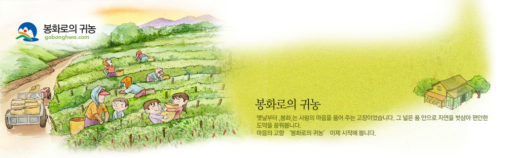 상단 일러스트 입니다.