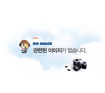 NO IMAGE 검색결과에 따른 관련된 이미지가 없습니다.