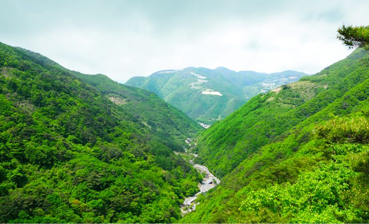 청량산 淸凉山