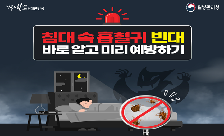 침대 속 흡혈귀 빈대 바로 알고 미리 예방하기