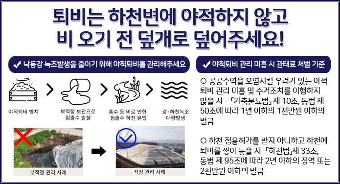 퇴비는 하천변에 아적하지 않고 비 오기 전 덮개로 덮어주세요!▷ 낙동강 녹조발생을 줄이기 위해 야적퇴비를 관리해주세요야적퇴비 방치 → 부정적 보관으로 침출수 발생 → 홍수 등 비로 인한 침출수 하천 유입 → 강·하천녹조 대량발생▷ 야적퇴비 관리 미흡시 과태료 처벌 기준○ 공공수역을 오염시킬 우려가 있는 야적퇴비 관리 미흡 및 수거조치를 이행하지 않을 시 - 「 가축분뇨법 」 제 10조, 동법 제 50조에 따라 1년 이하의 1천만원 이하의 벌금○ 하천 점용허가를 받지 아니하고 하천에 퇴비를 쌓아 놓을 시 - 「 하천법 」 제 33조, 동법 제 95조에 따라 2년 이하의 징역 또는 2천만원 이하의 벌금