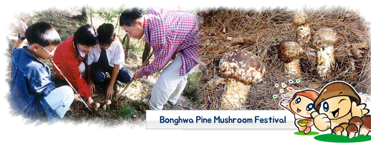 Bonghwa Songi Festiva