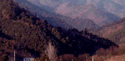 guryong