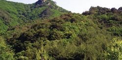 Mt. Okseok