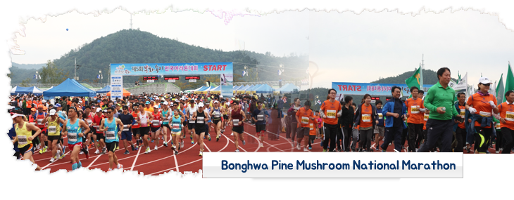 Bonghwa Pine Mushroom National Marathon