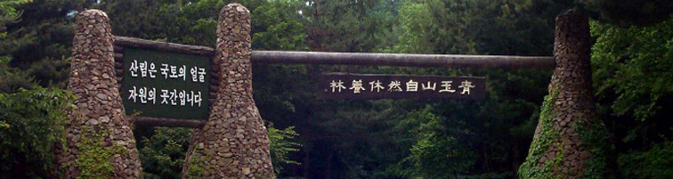 Mt. Cheongok Recreational Forest