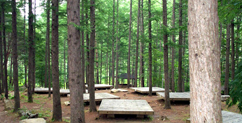 Mt. Cheongok Recreational Forest
