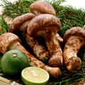Songi (Pine Mushroom)