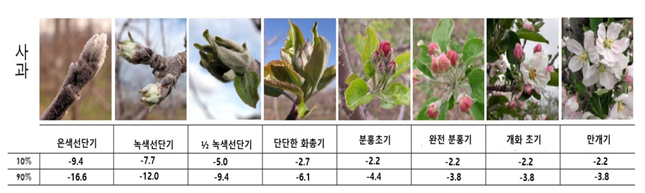 화기발달
