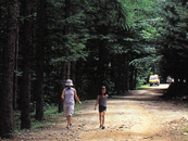 Mt. Cheongok Recreational Forest