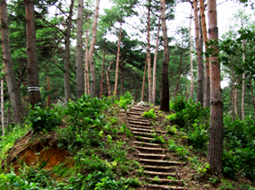 산책로