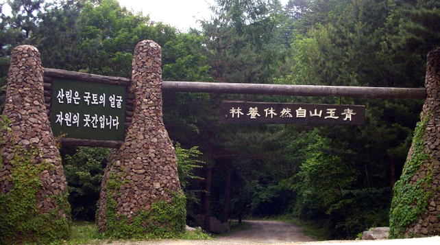 청옥산 자연휴양림
