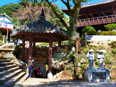 오전약수