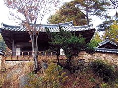 사미정