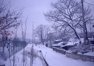 하~얀 세상