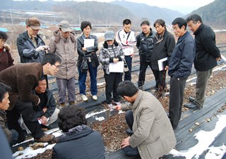 블루베리 정지전정교육