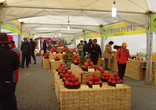 청량산 우리농산물 한마당 축제