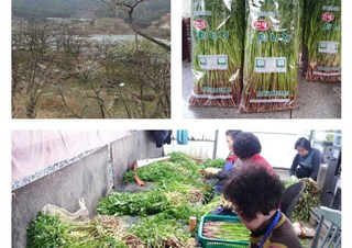 민속자연산채향 연구회 현장견학