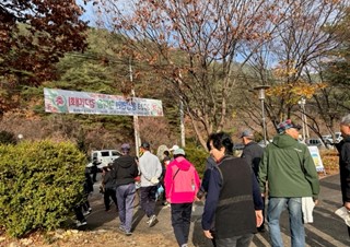 2023년11월13일 (봉성면) 황금돼지를 잡아라! 2023년 봉성면민 한마음 걷기대회 성료