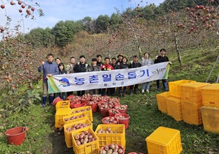 2023년11월13일 (재산면) 재산면, 가을철 농촌일손돕기 구슬땀