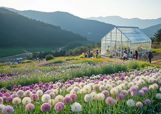 2025년7월9일 (인구전략과) 봉화군, 경북도‘소규모 마을 활성화 공모사업’본격 추진