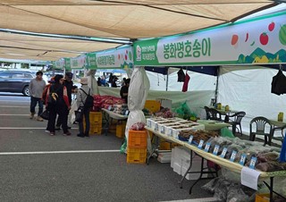 2025년11월5일 (유통특작과) 가을 단풍철 맞아 봉화 청량산 농특산물 직거래장터 개장