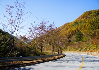 청량산(2020-10-24)