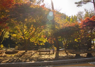 청량산(2020-10-24)