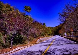 청량산(2020-10-24)