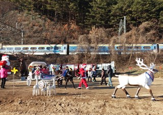 분천역 산타마을 - 당나귀 꽃마차 체험